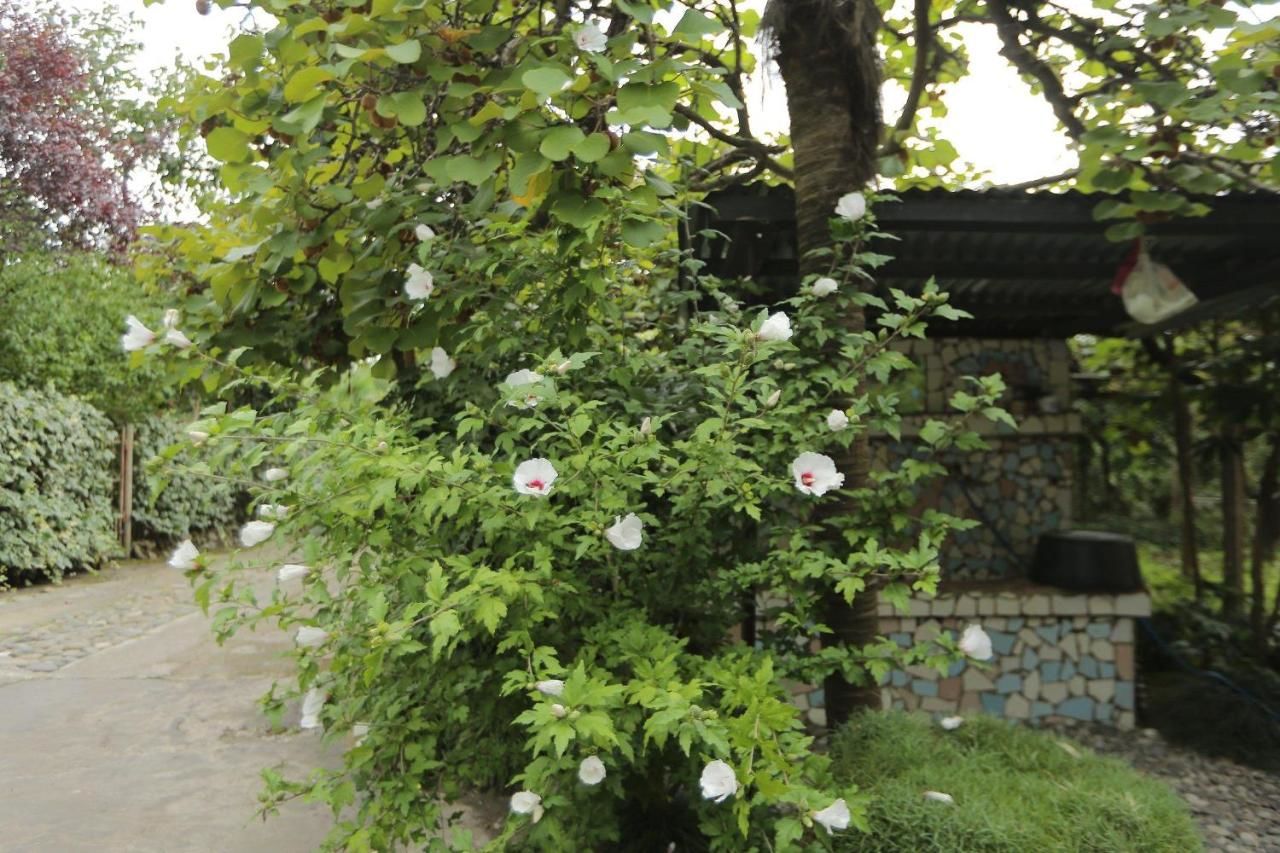 Гостевой дом Manana Guest House Батуми