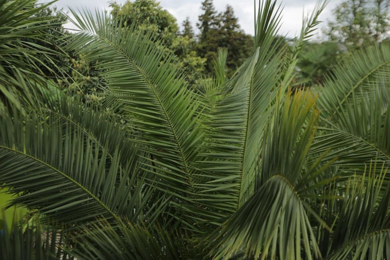 Гостевой дом Manana Guest House Батуми