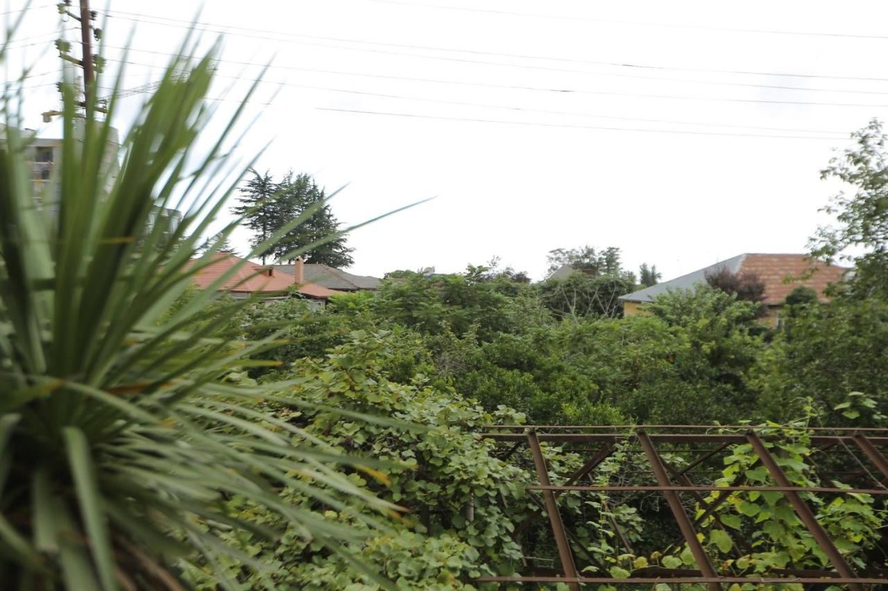 Гостевой дом Manana Guest House Батуми-36