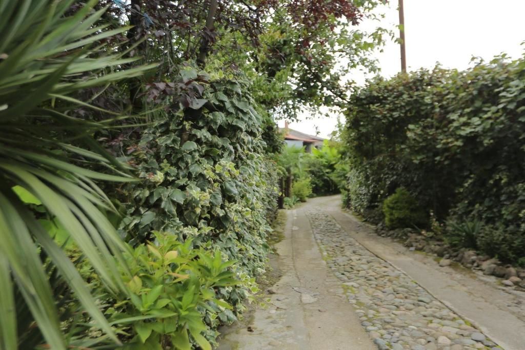 Гостевой дом Manana Guest House Батуми