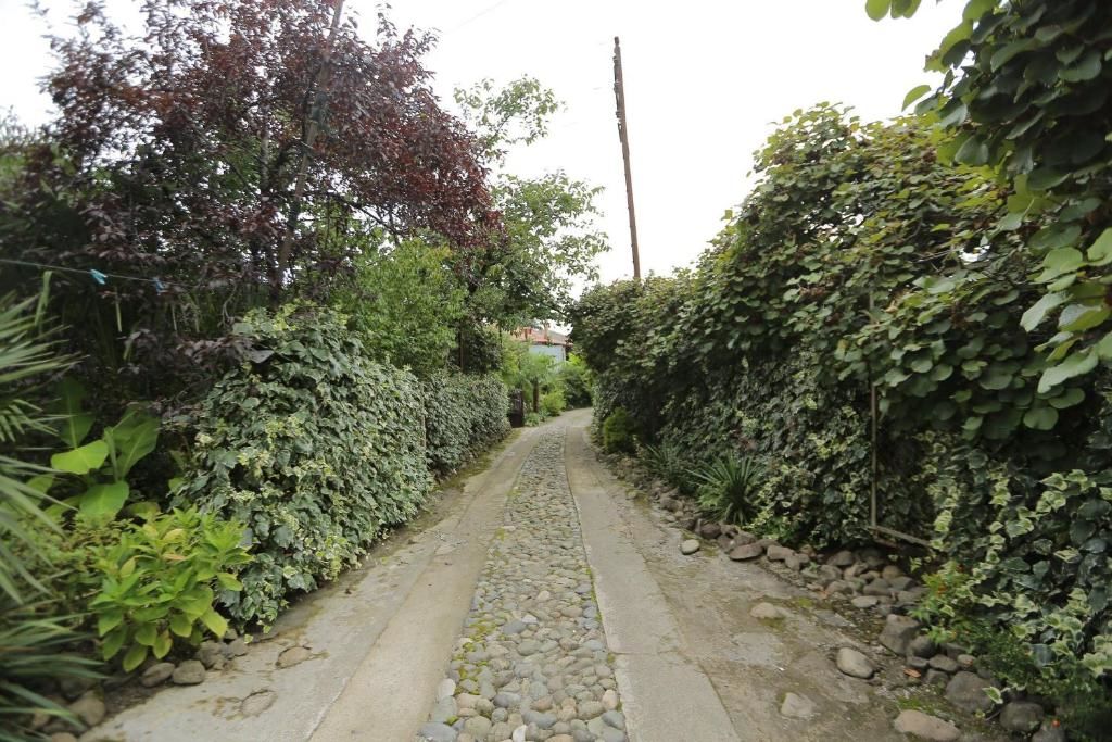 Гостевой дом Manana Guest House Батуми