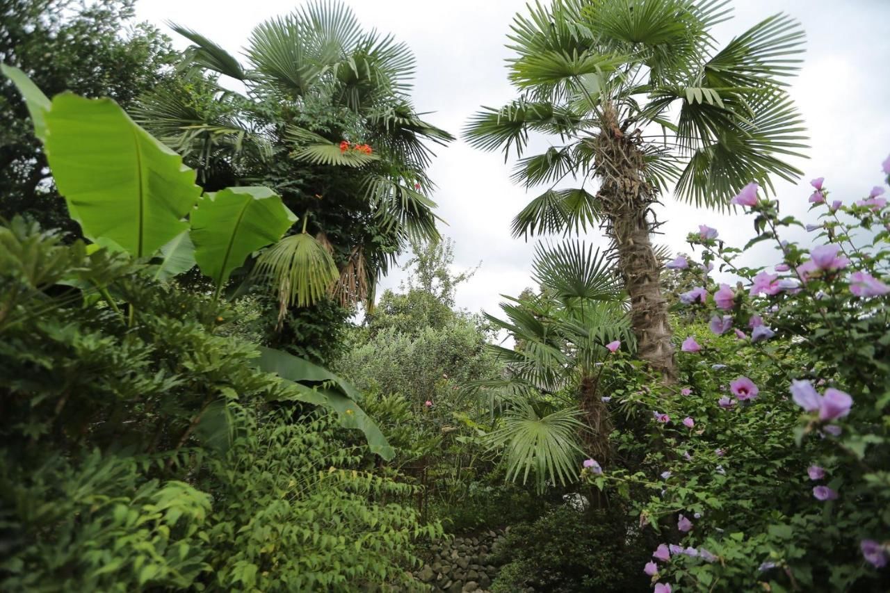 Гостевой дом Manana Guest House Батуми-11