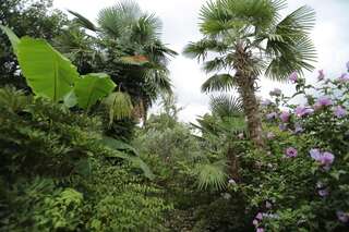 Гостевой дом Manana Guest House Батуми-7